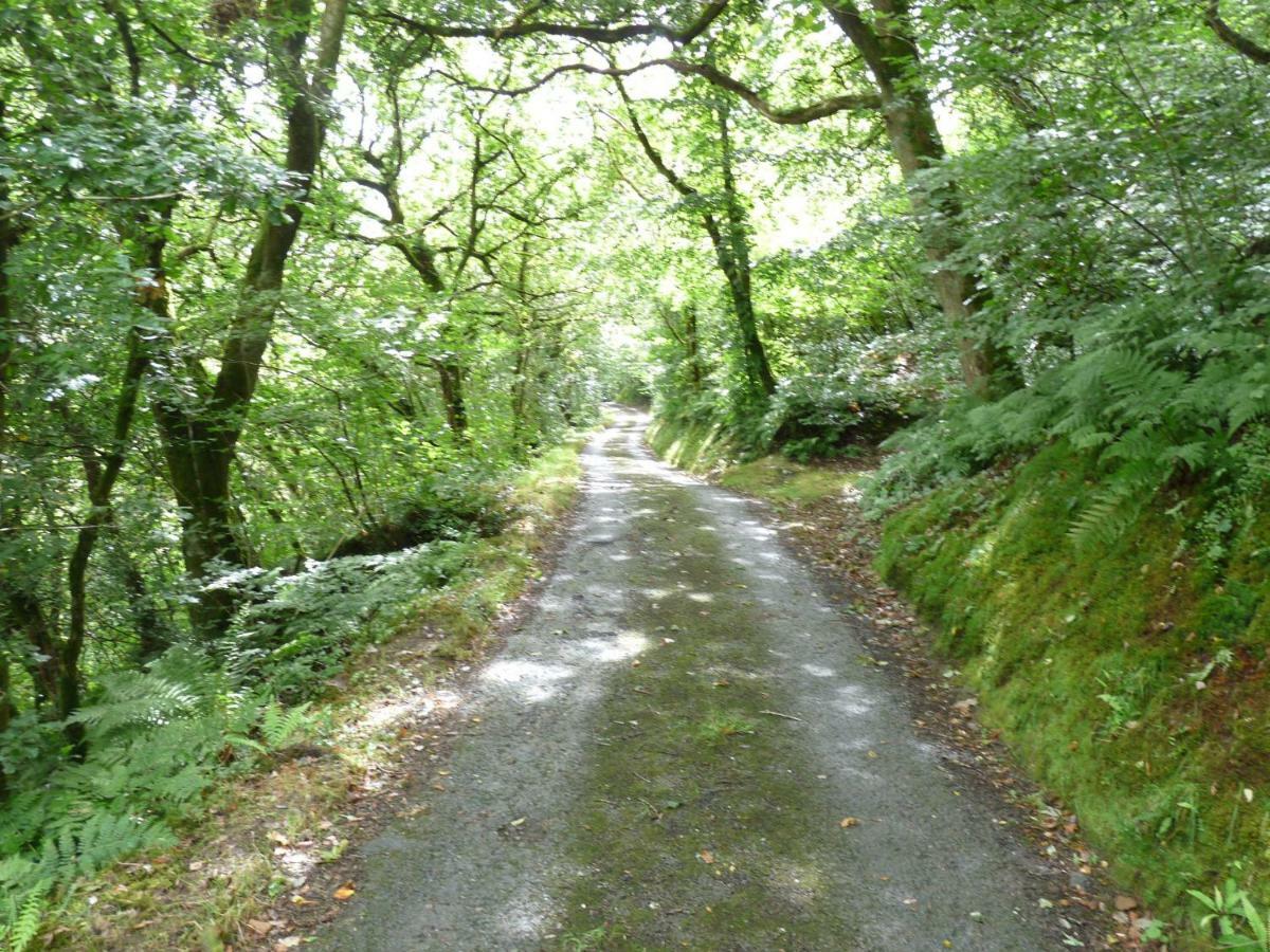 Вілла Romany Wagon & Cwtch Llandysul Екстер'єр фото